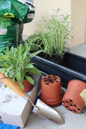 Ein Kräutergarten für den Balkon – Einfach & Gesund