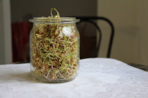 IMG_9070